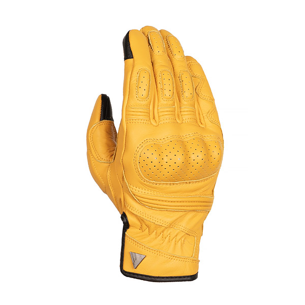 Daisy on the Ohoopee